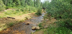 132 Tankavaara Goldgräber