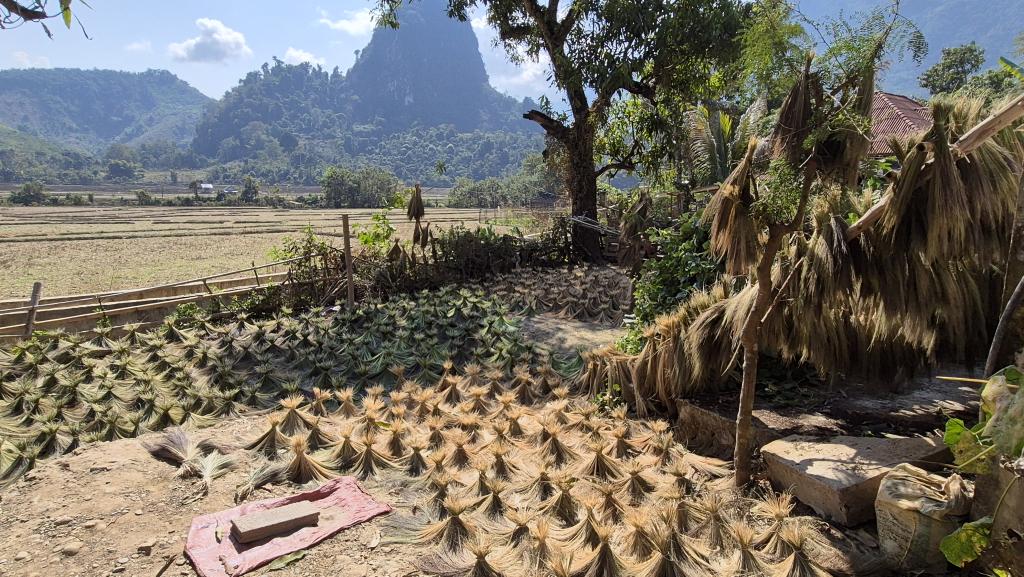 066 Wanderung Ban Na