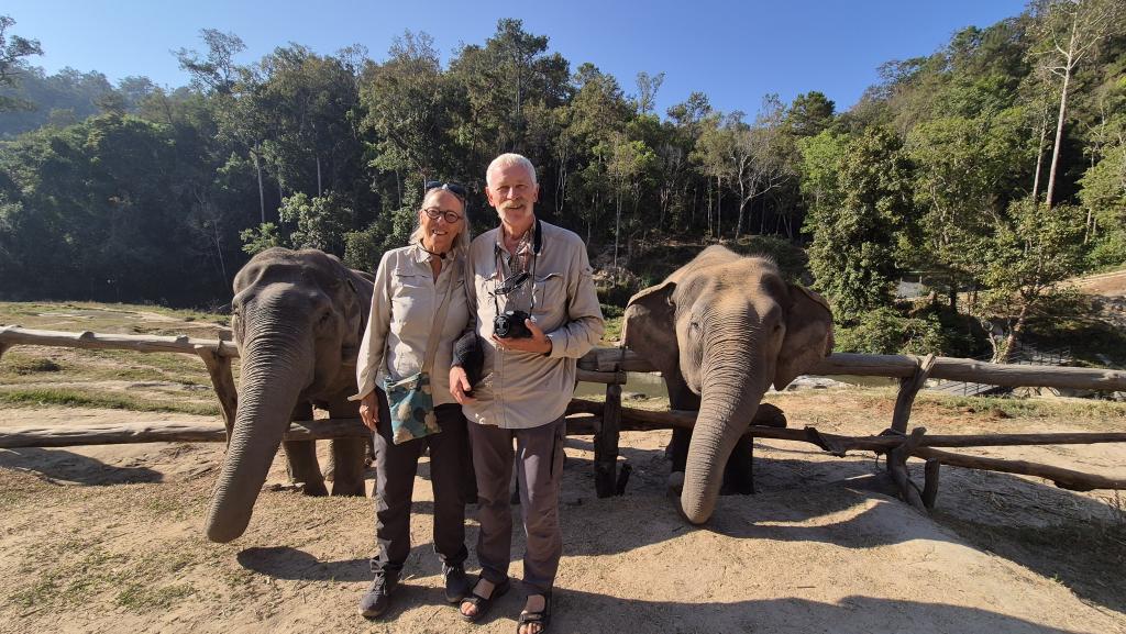 174 the wild elephant camp