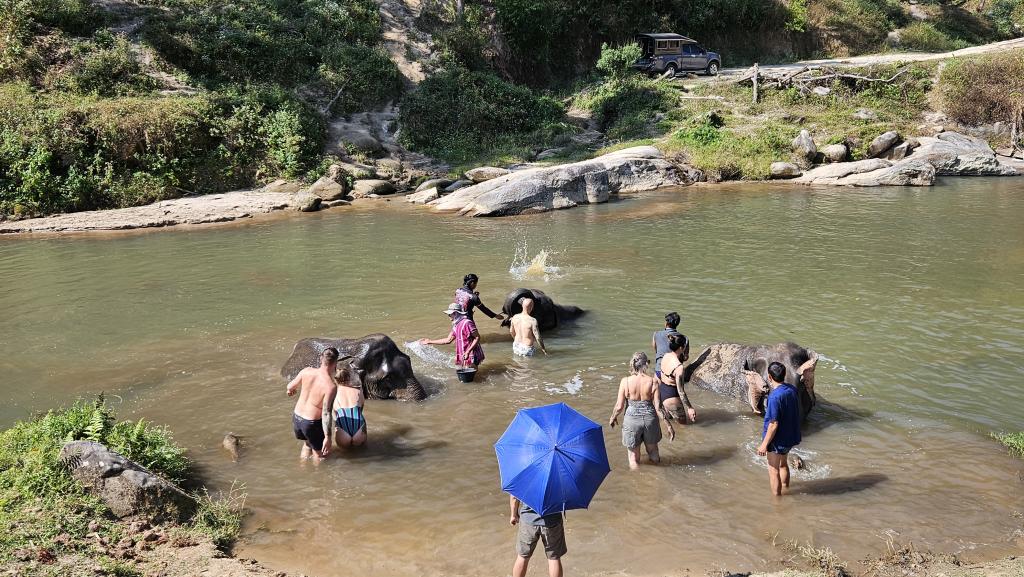 198 the wild elephant camp