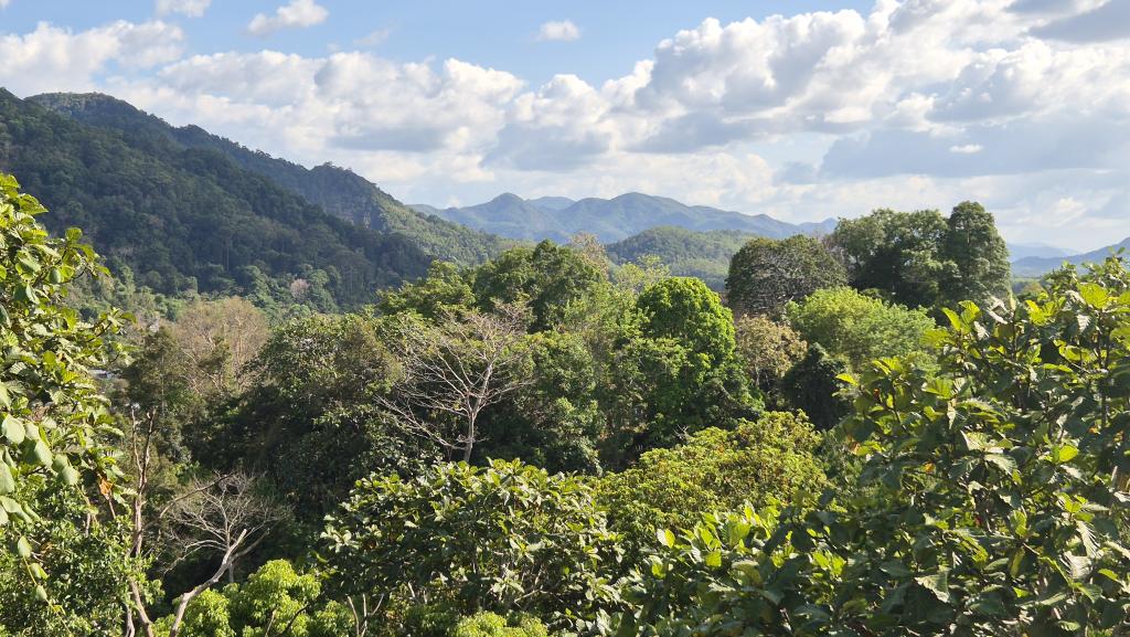 254 Ranong