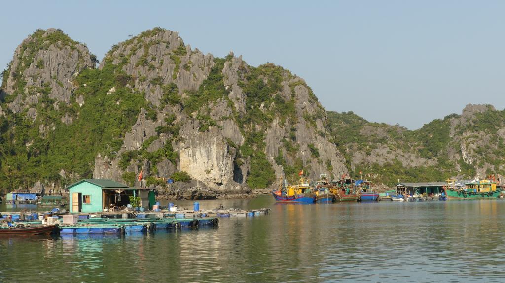 299 Cat Ba bei Ha Long