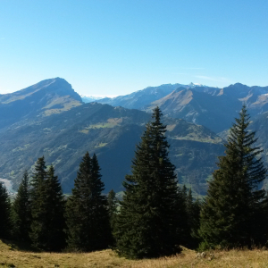 Schweiz Reihntal