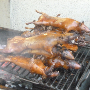 311-gegrillte-Meersäuli