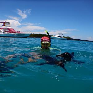 100-Iris-mit-Pinguinen