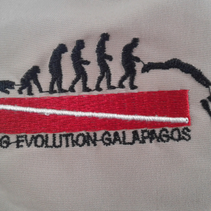 33-Evolutionstheorie