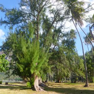 440-Anaho-Bay-Nuku-Hiva