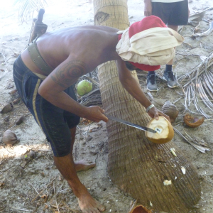 451-Kokos-trinkfertig-machen