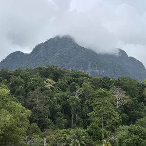 123-Sarawak Cultural Village