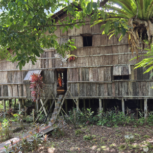 100-Sarawak Cultural Village