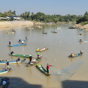 049-Alle-wollen-fischen