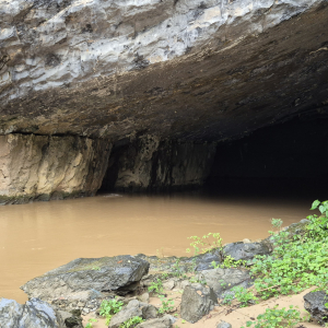 220-Phong-Na-Cave