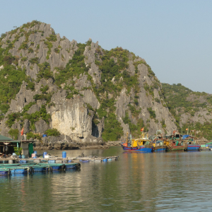 299-Cat-Ba-bei Ha-Long