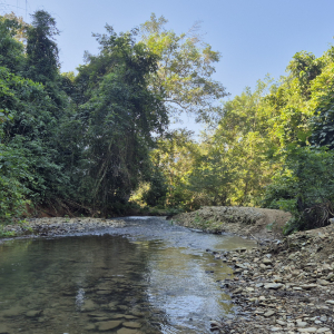 090-Wanderung-nach-Houay-Sen