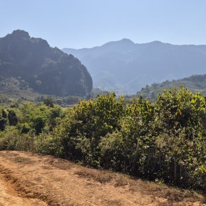 108-Wanderung-nach-Houay-Sen