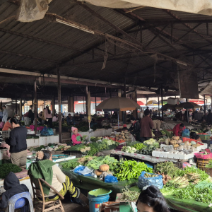 235-Einkauf-fuer-Trekking