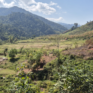 285-Trekking-Luang-Namtha