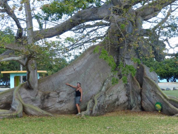 US Virgin Islands